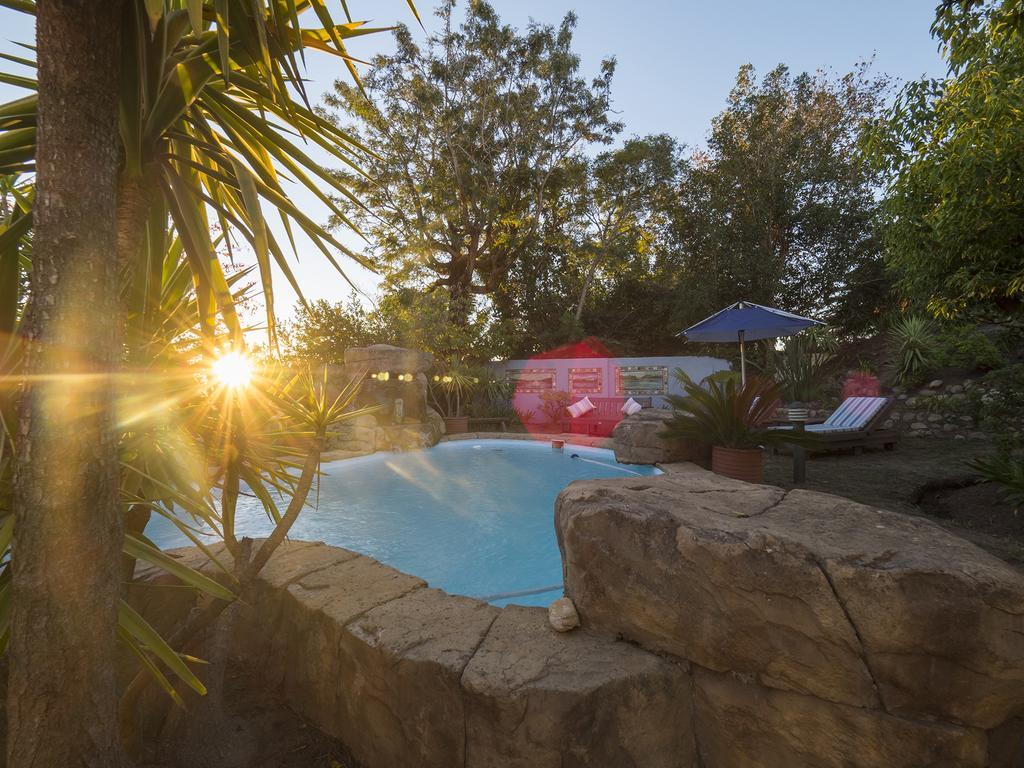 Blue Oyster Bed And Breakfast Knysna Bagian luar foto