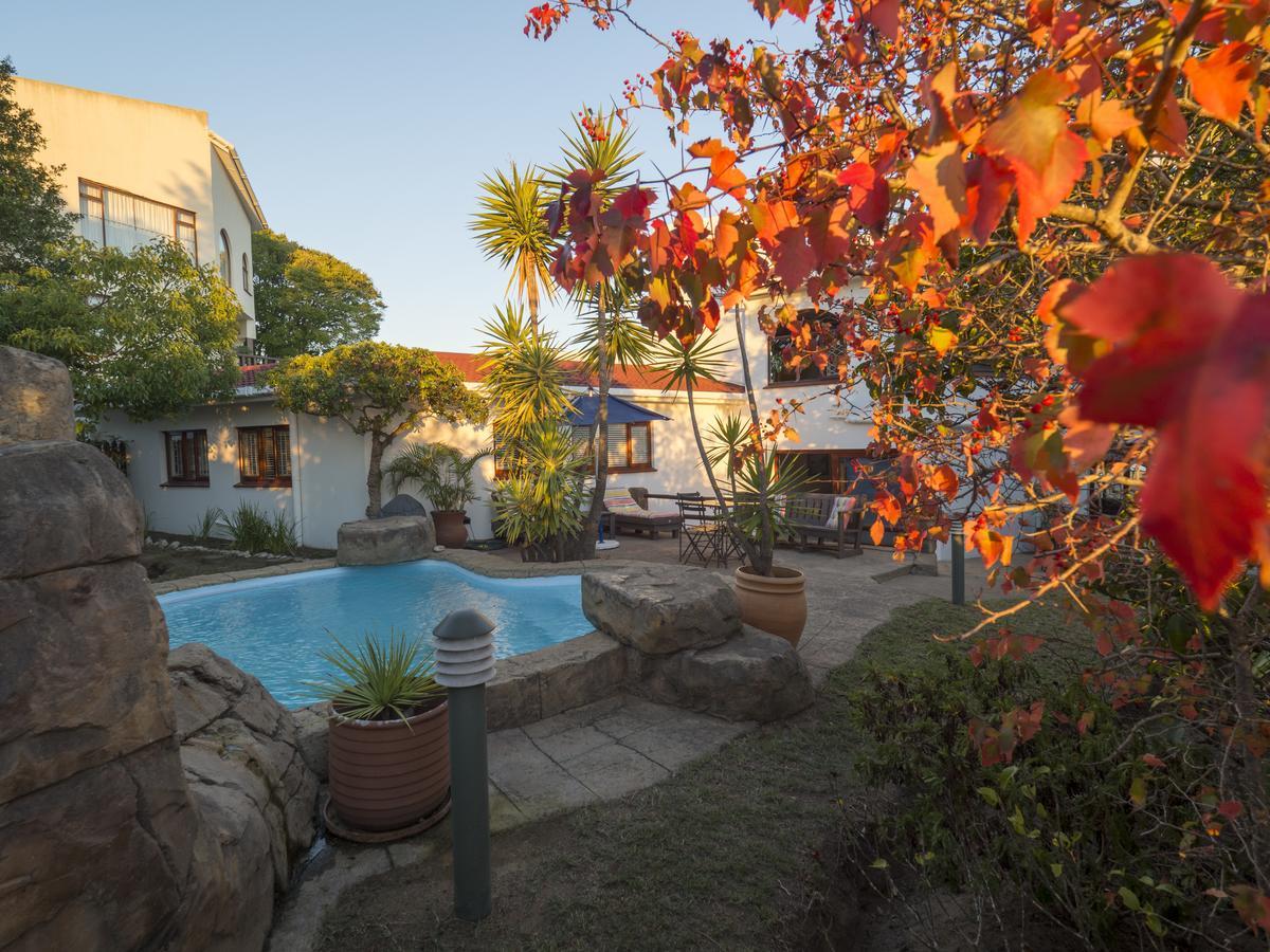 Blue Oyster Bed And Breakfast Knysna Bagian luar foto
