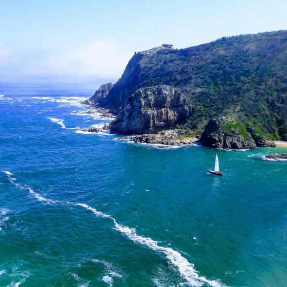 Blue Oyster Bed And Breakfast Knysna Bagian luar foto