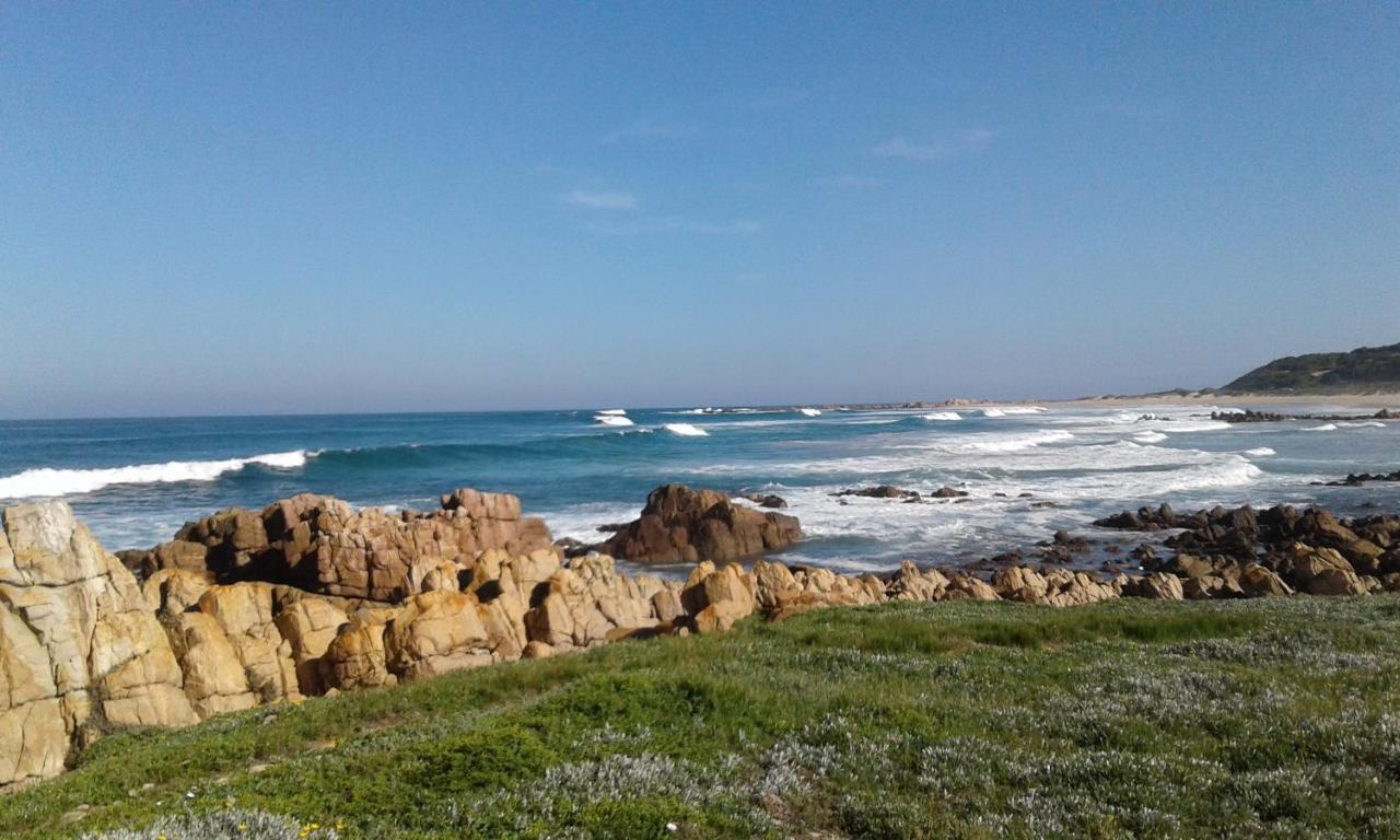 Blue Oyster Bed And Breakfast Knysna Bagian luar foto