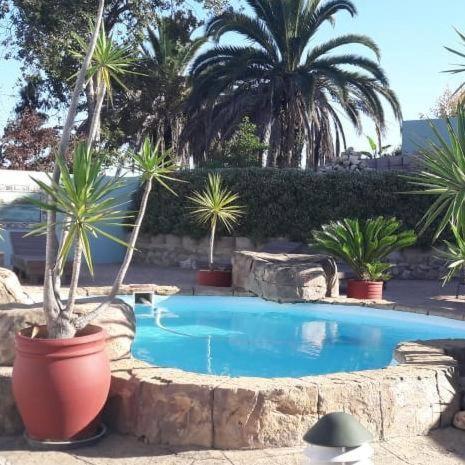 Blue Oyster Bed And Breakfast Knysna Bagian luar foto